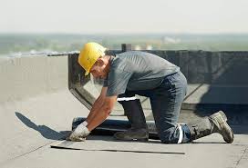 Best Skylight Installation and Repair  in Dassel, MN